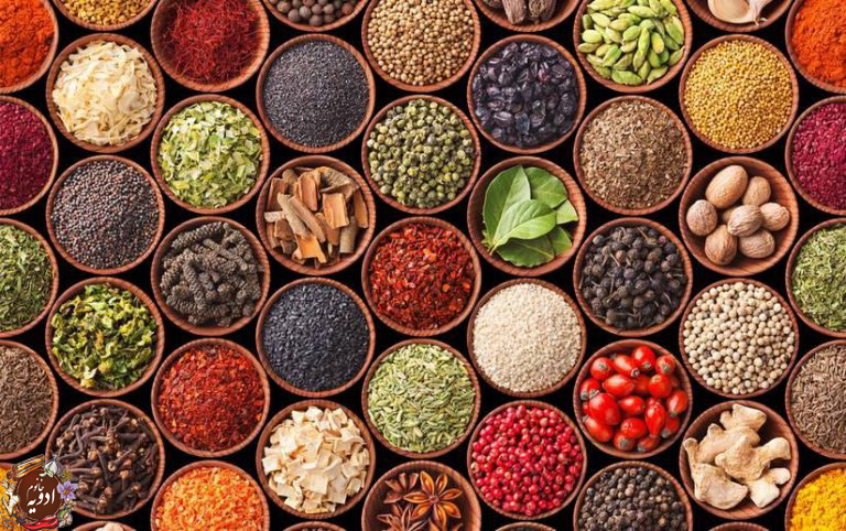 Picture for category 🌶 Gourmet Flavors